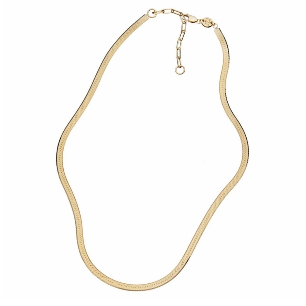 New Jennifer Zeuner Hamilton Herringbone Necklace 💕 - Picture 2 of 6